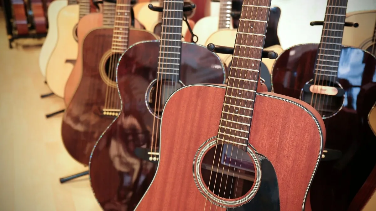 Harp: A Complete Buyer's Guide