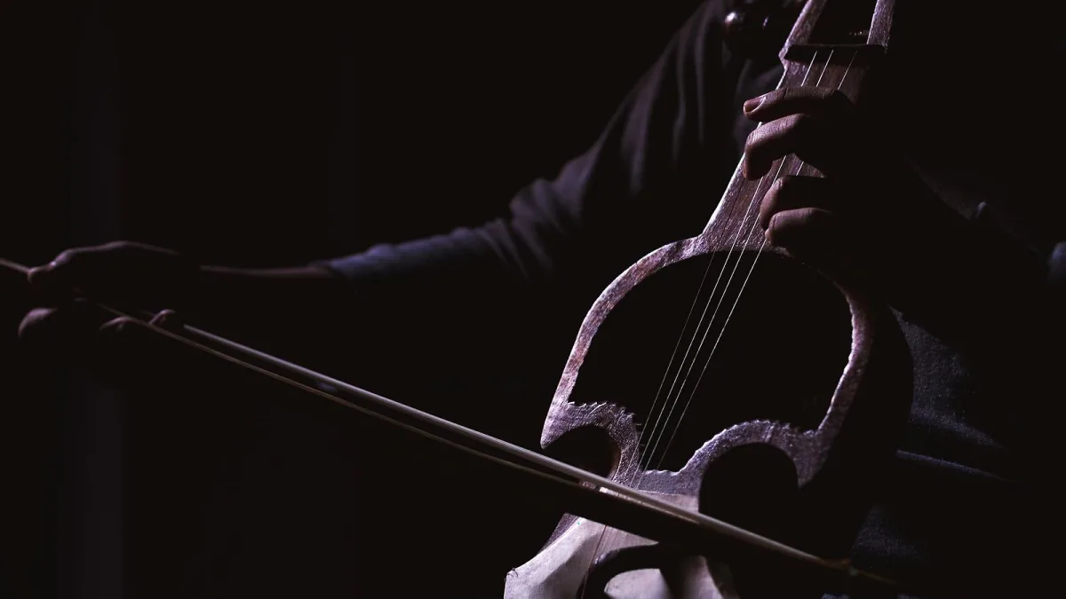 How to Set Up and Use 5 String Banjo