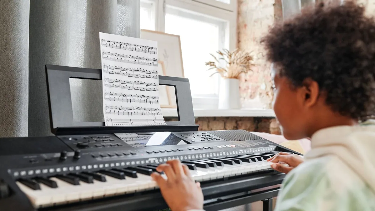Moog Muse for Beginners: A Complete Guide