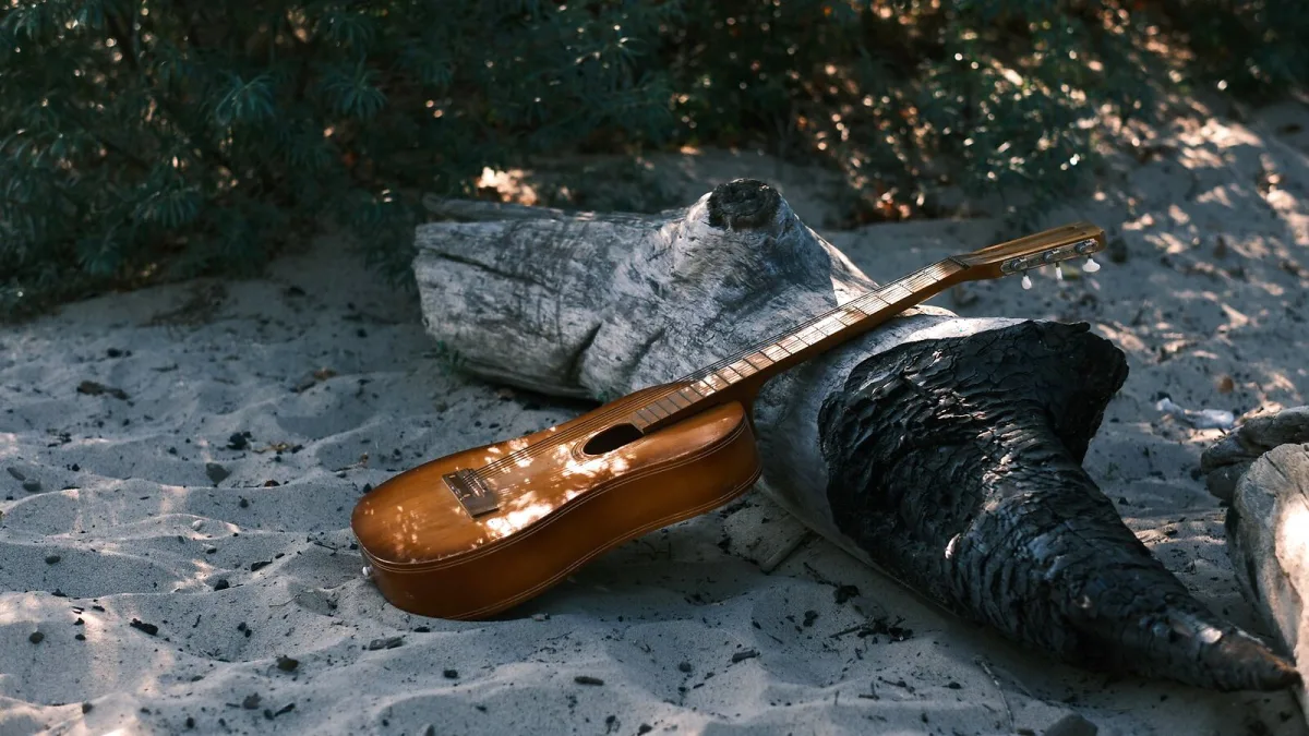 Nylon String Guitar Strings: A Complete Buyer's Guide