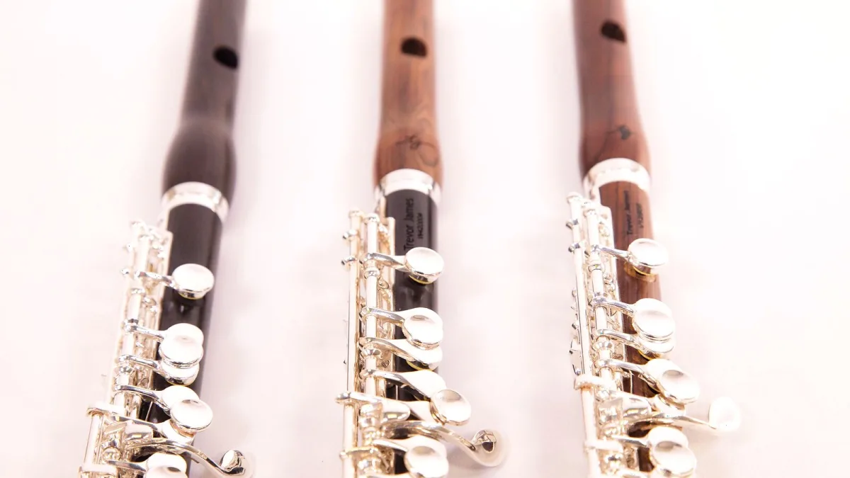 Piccolo Instrument: A Complete Buyer's Guide