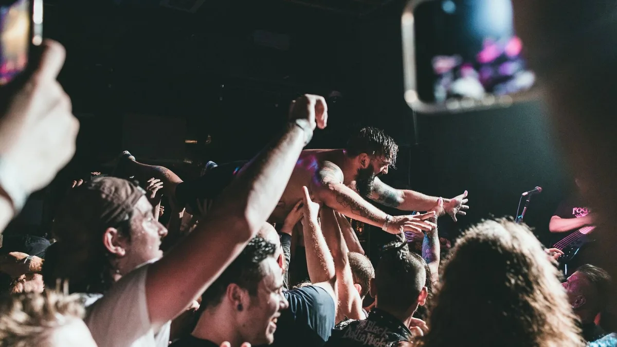 Punk Rock Subgenres, Explained