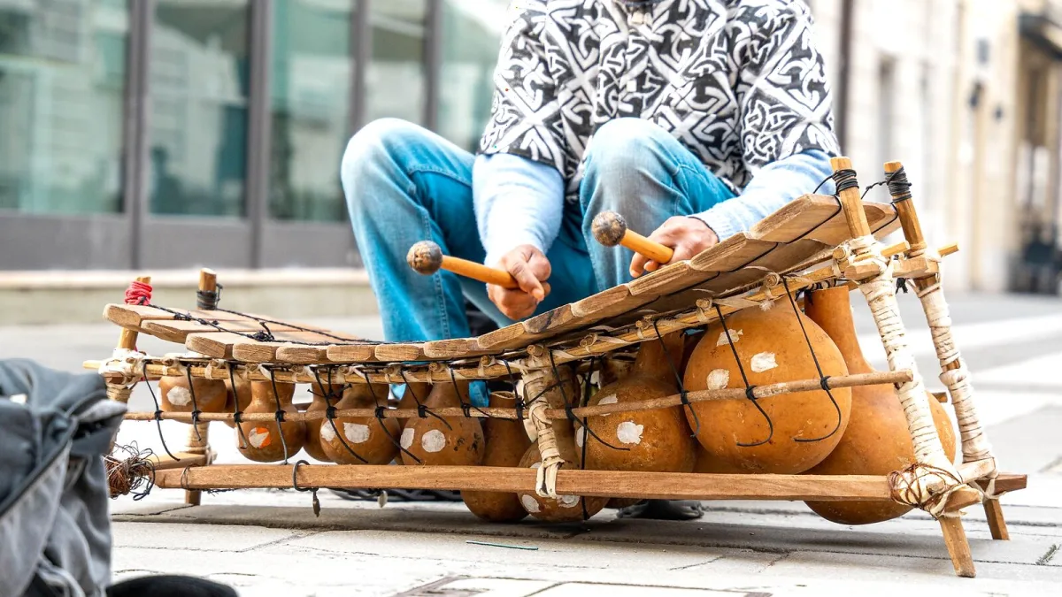 Samba Music Instruments: A Complete Buyer's Guide
