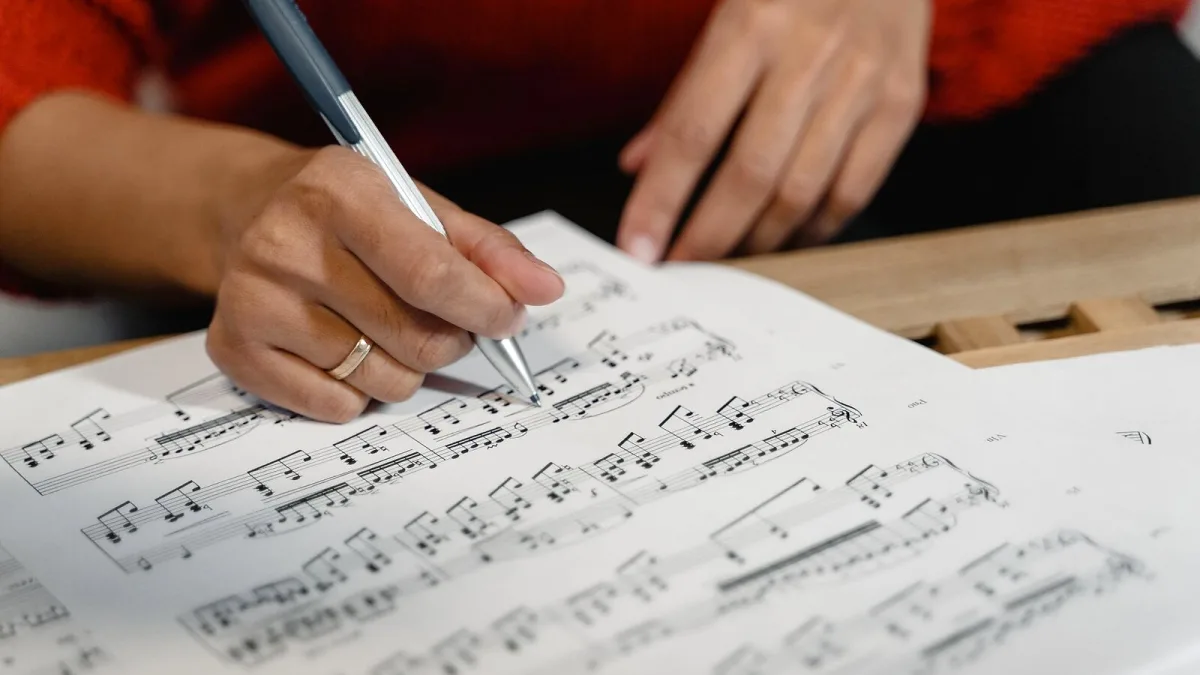 Sibelius Explained: Features, Types and Tips