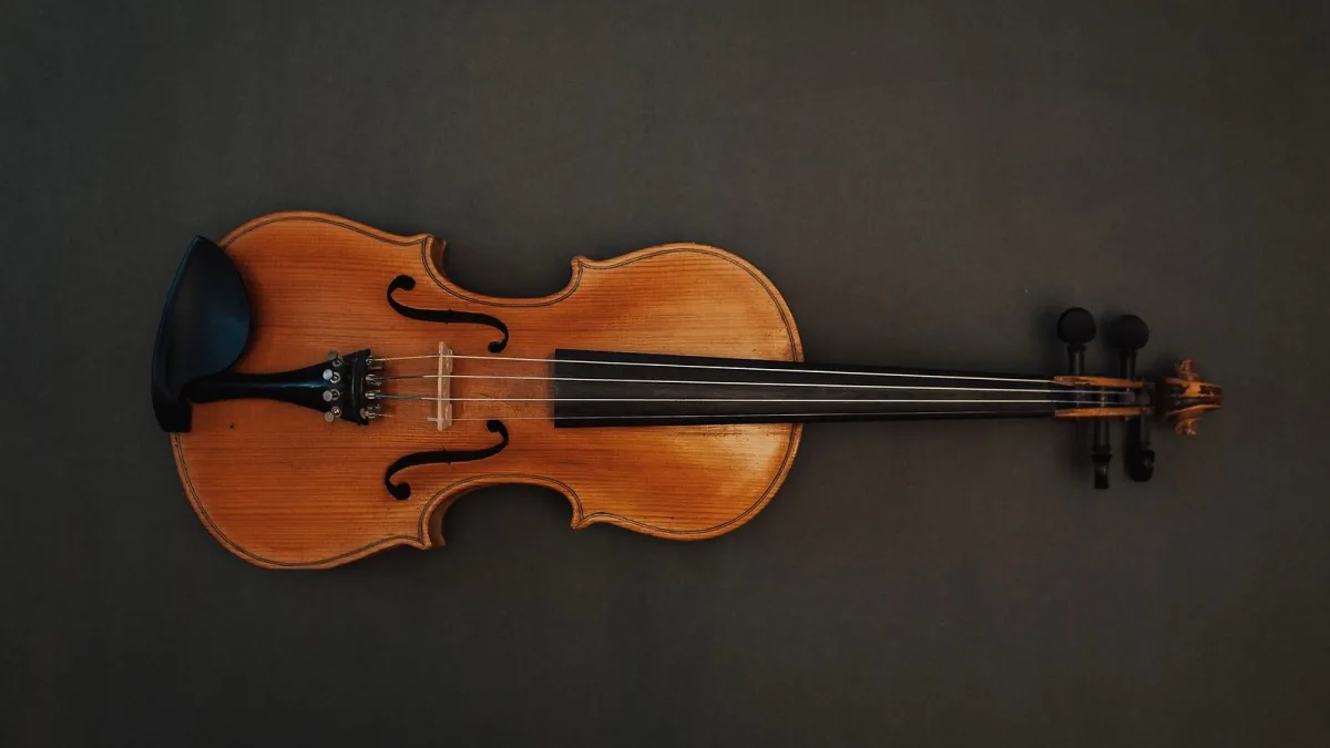 Stentor: A Complete Buyer's Guide
