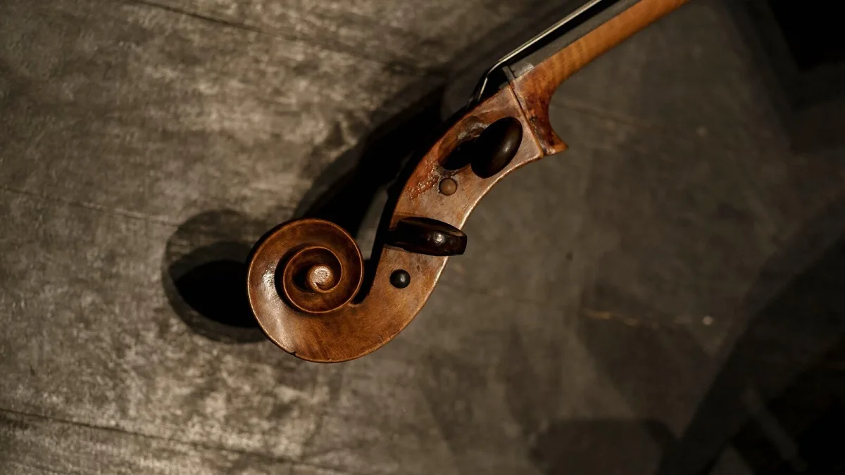 Stradivarius Violin Explained: Features, Types and Tips