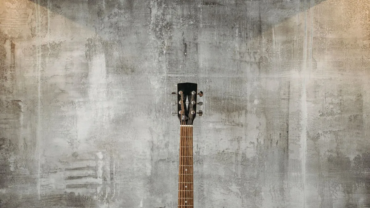 Takamine Guitar: A Complete Buyer's Guide