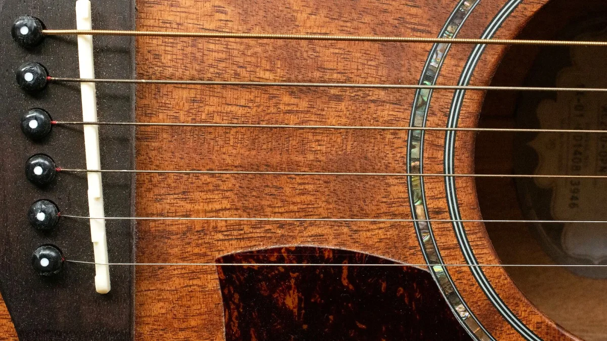 Tanglewood Explained: Features, Types and Tips