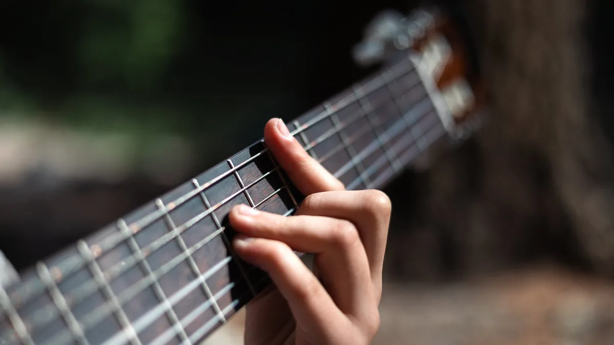 Taylor Guitars: A Complete Buyer's Guide