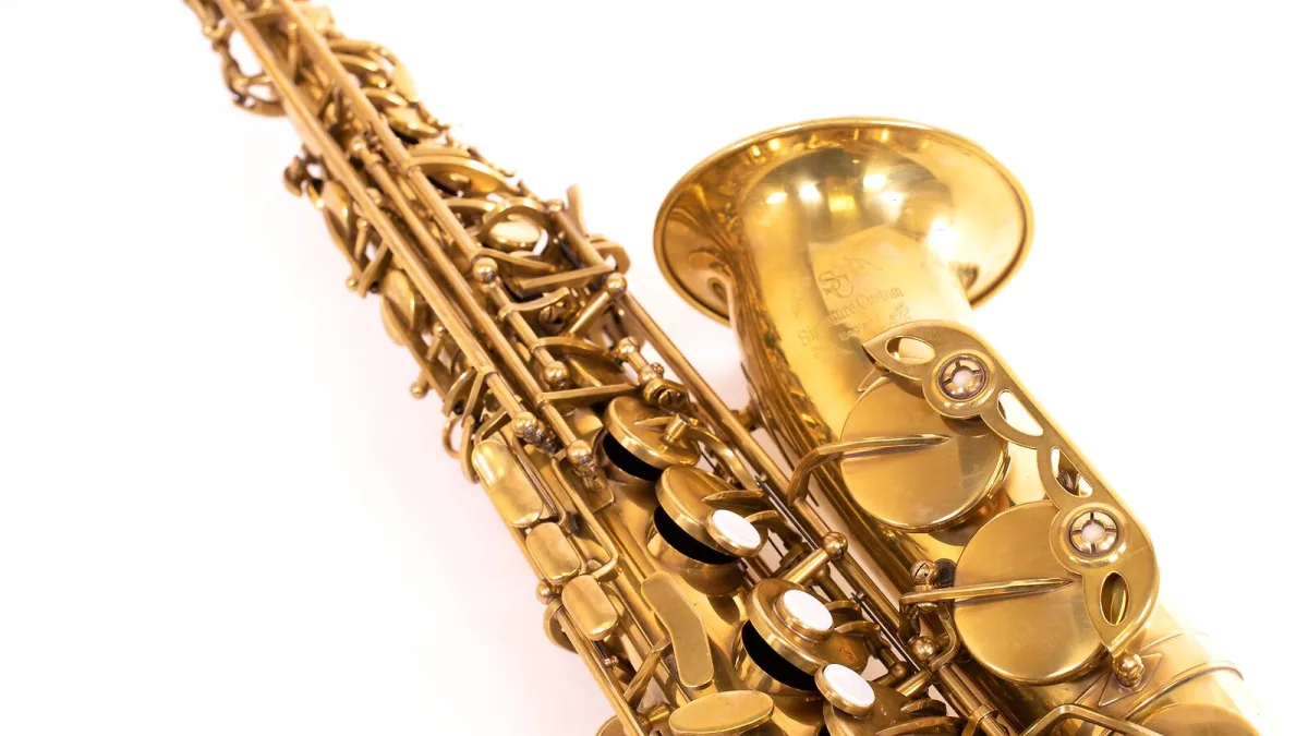 Tenor Saxophone Explained: Features, Types and Tips