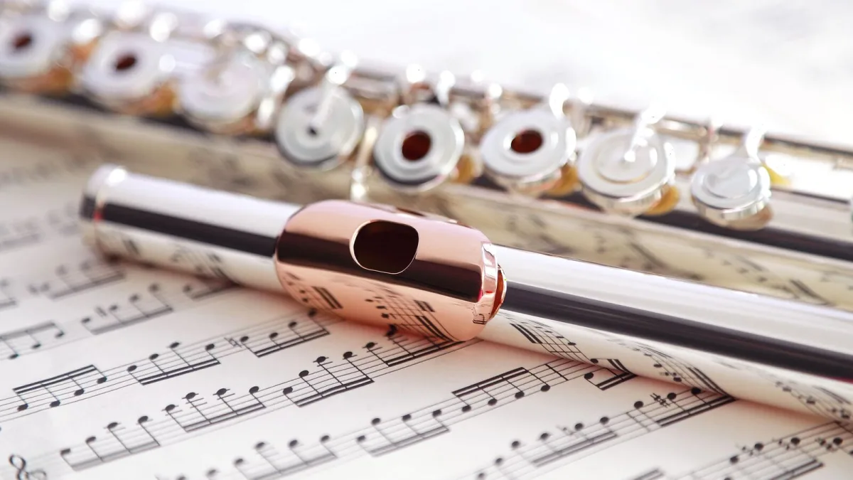 The Best Bass Clarinet Clarinets for the Money