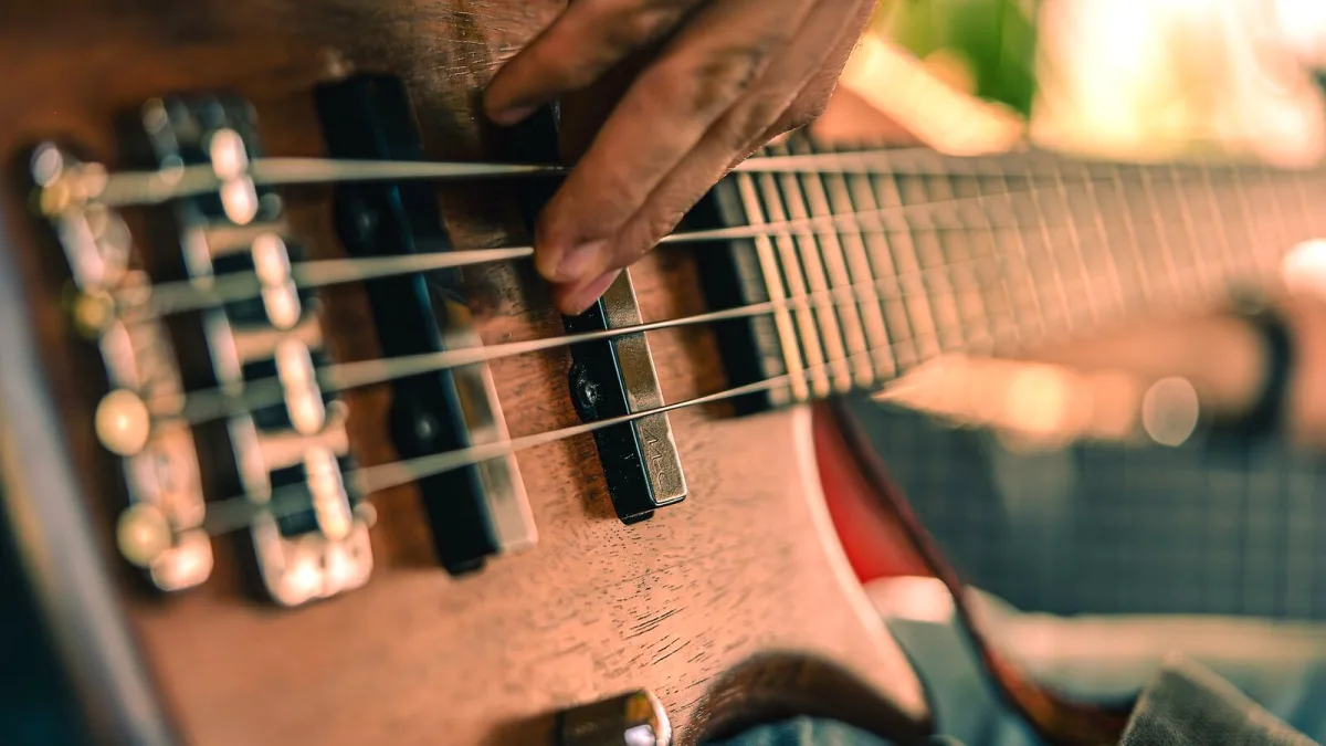 The Best Bass Strings 5 Strings for the Money