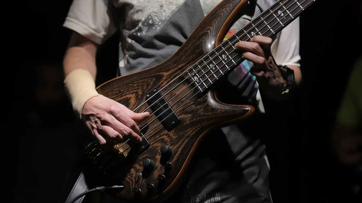 The Best Bass Strings for the Money