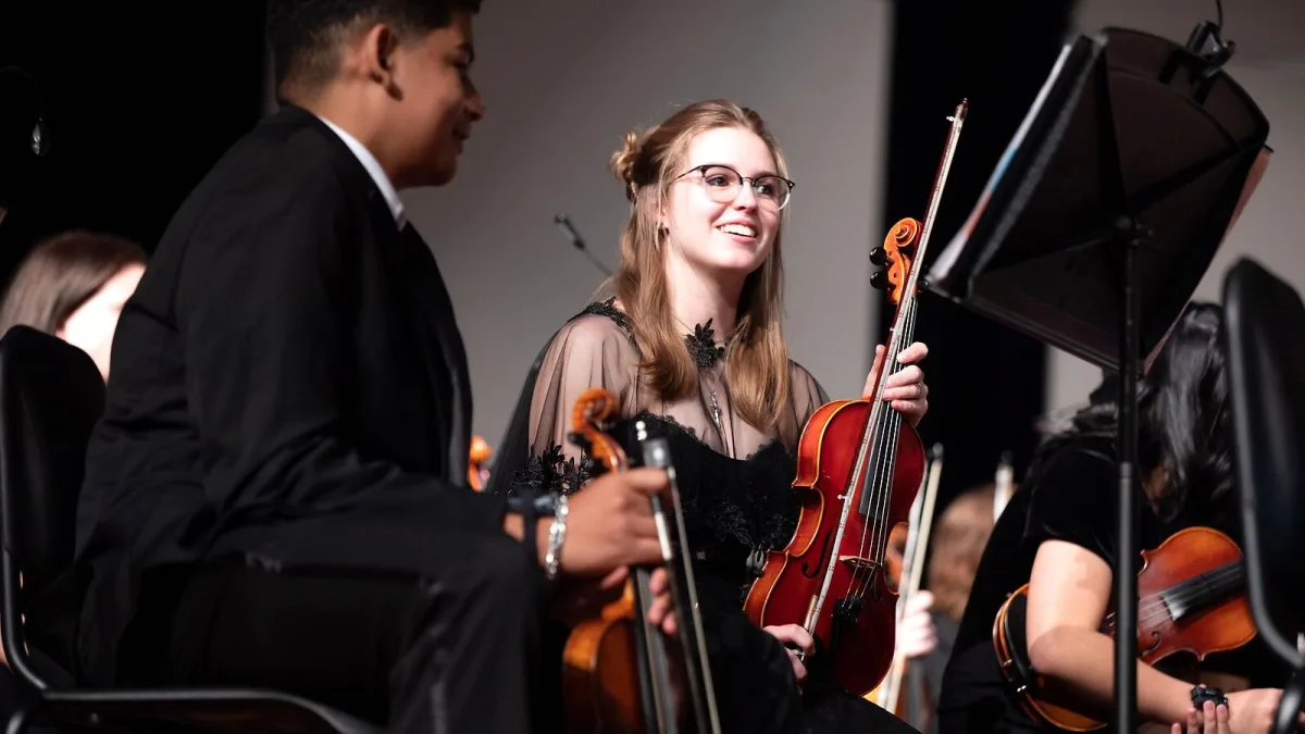 The Best Cor Anglais Instruments for the Money