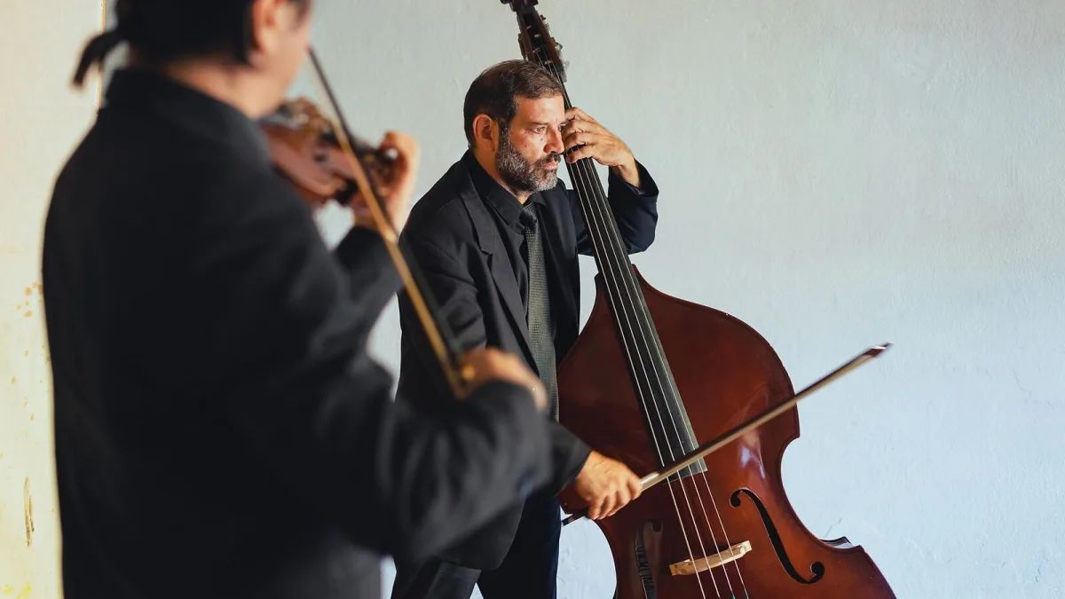The Best Fretless Bass for the Money