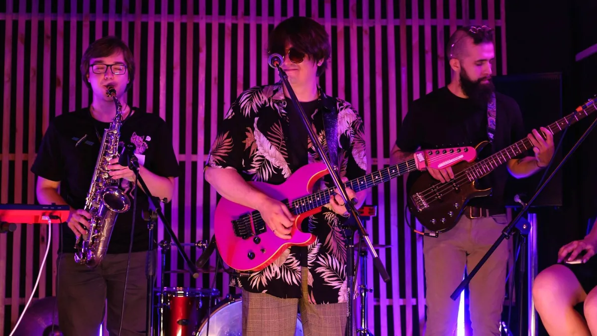 The Best Guitar Pinks for the Money
