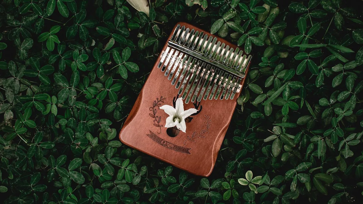 The Best Kalimbas for the Money