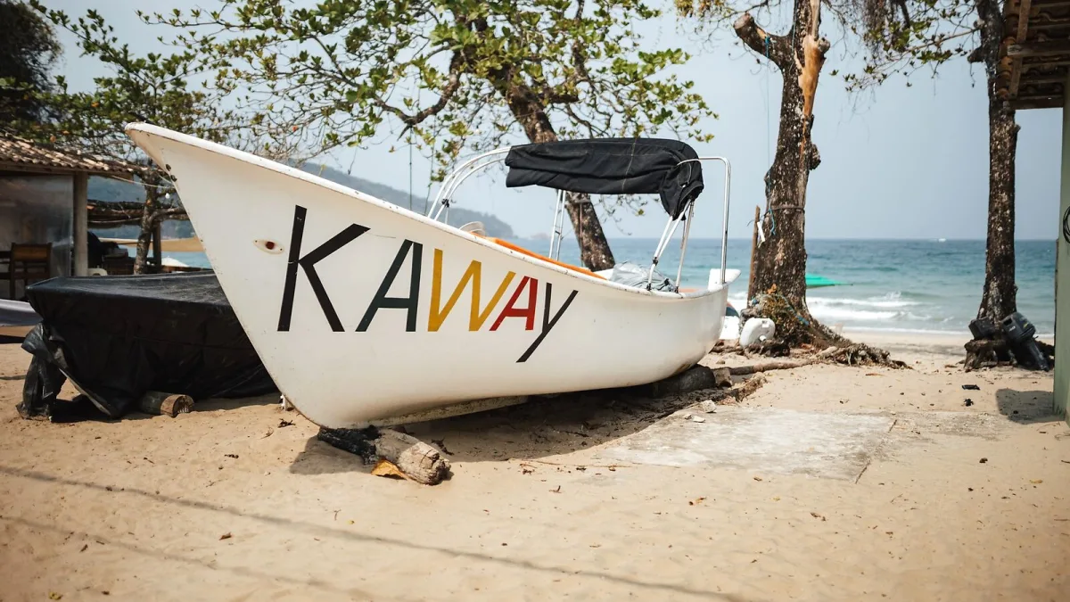 The Best Kawais for the Money