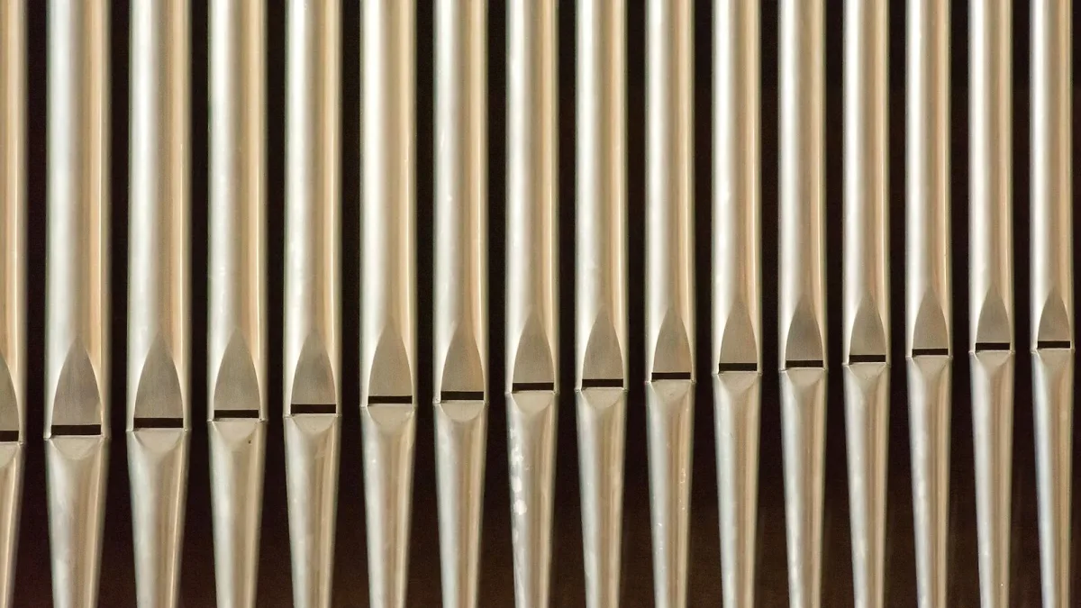 The Best Melodicas for the Money