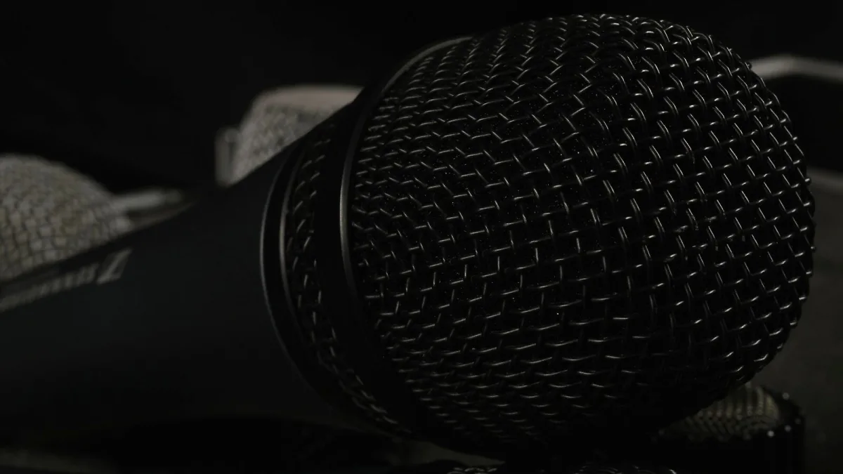 The Best Rode Mics for the Money