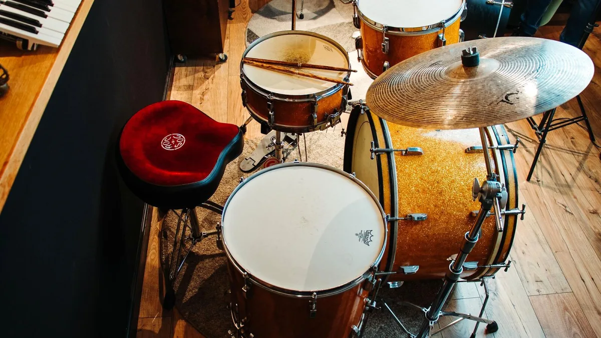 The Best Samba Music Instruments for the Money