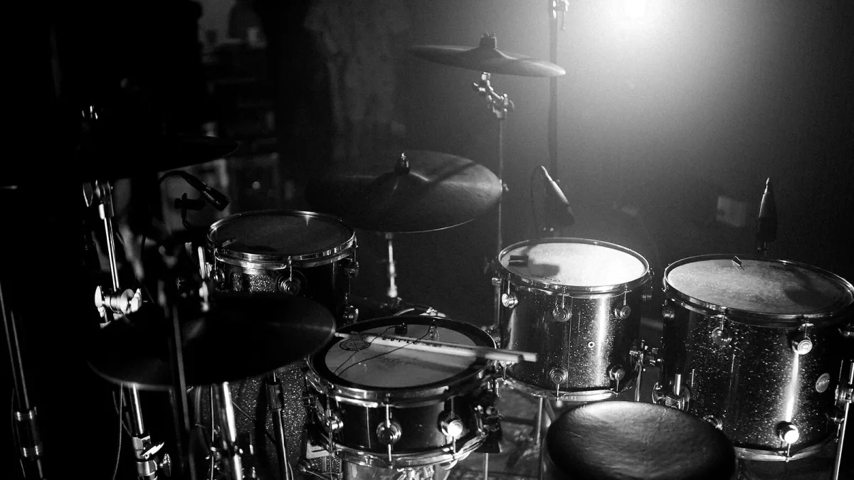 The Best Snare Drum Snares for the Money