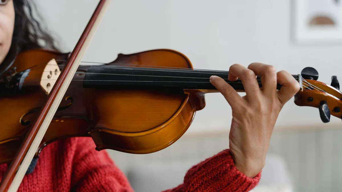 The Best Stentor Violins for the Money