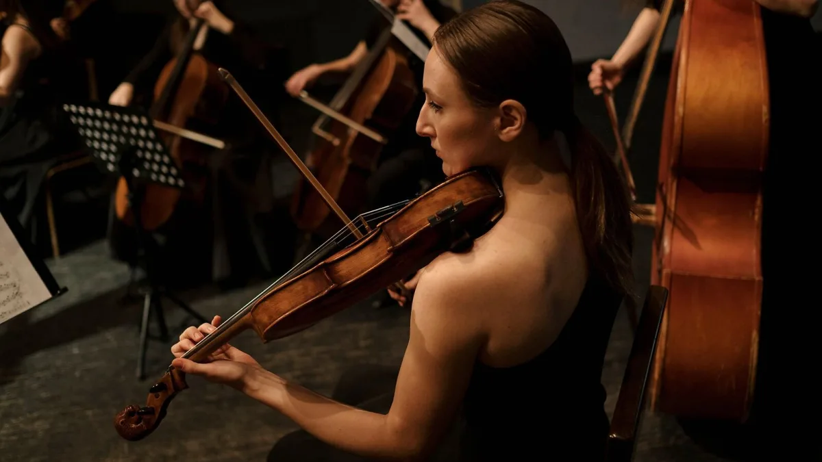 The Best String Instruments Violas for the Money