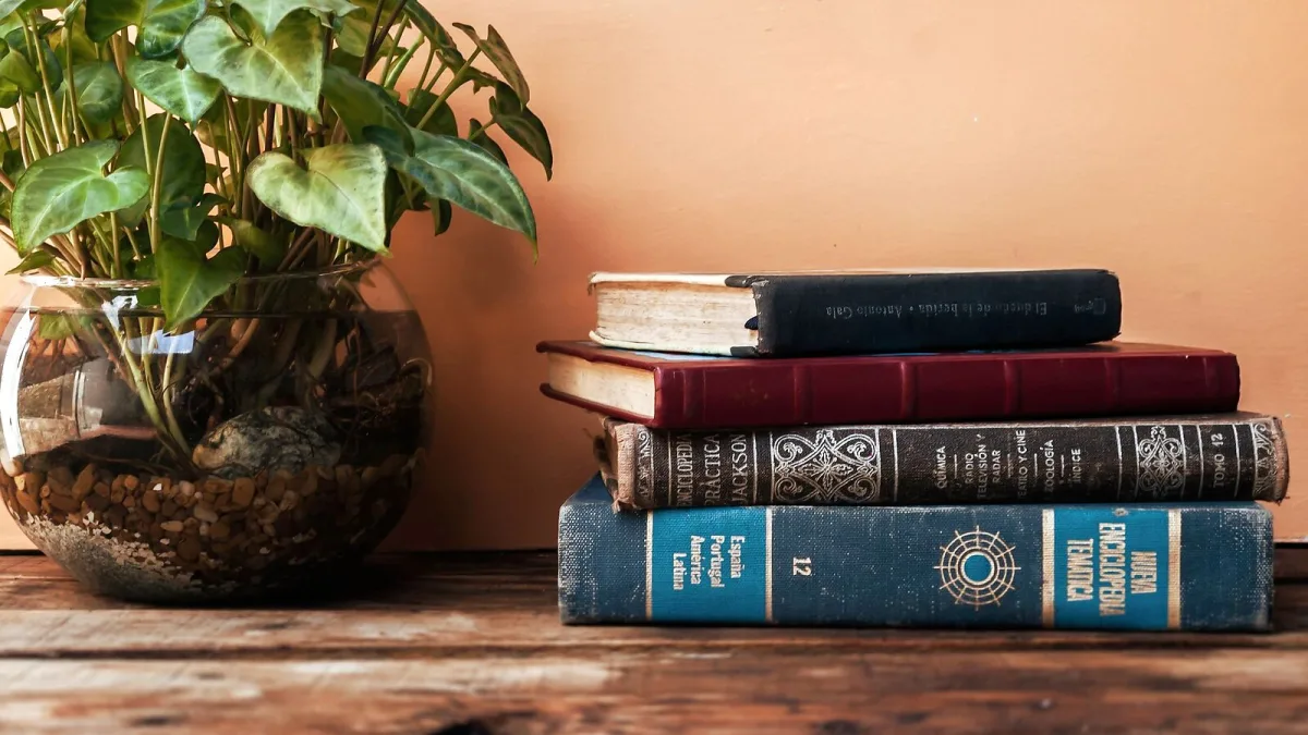 The Ultimate Guide to Fake Books