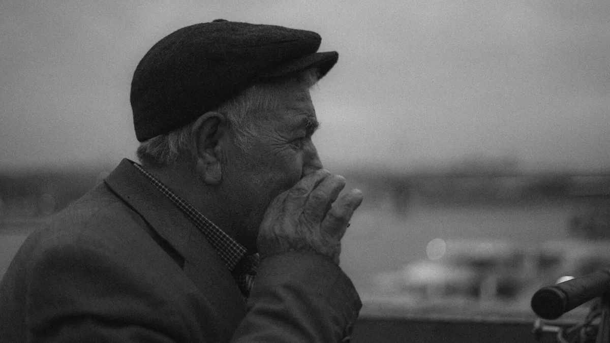 Blues Harmonica Explained: Features, Types and Tips