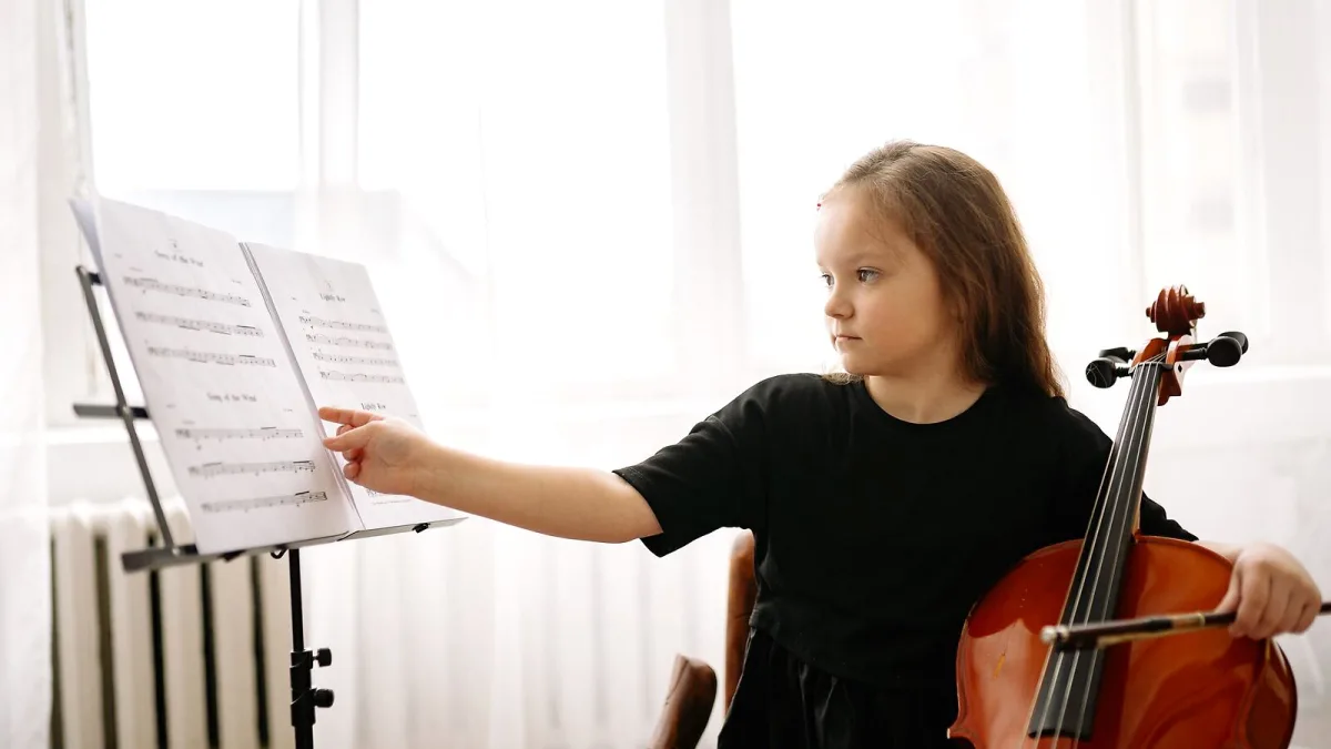 Cello Bow: A Complete Buyer's Guide