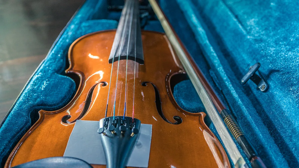 Cello Case Explained: Features, Types and Tips