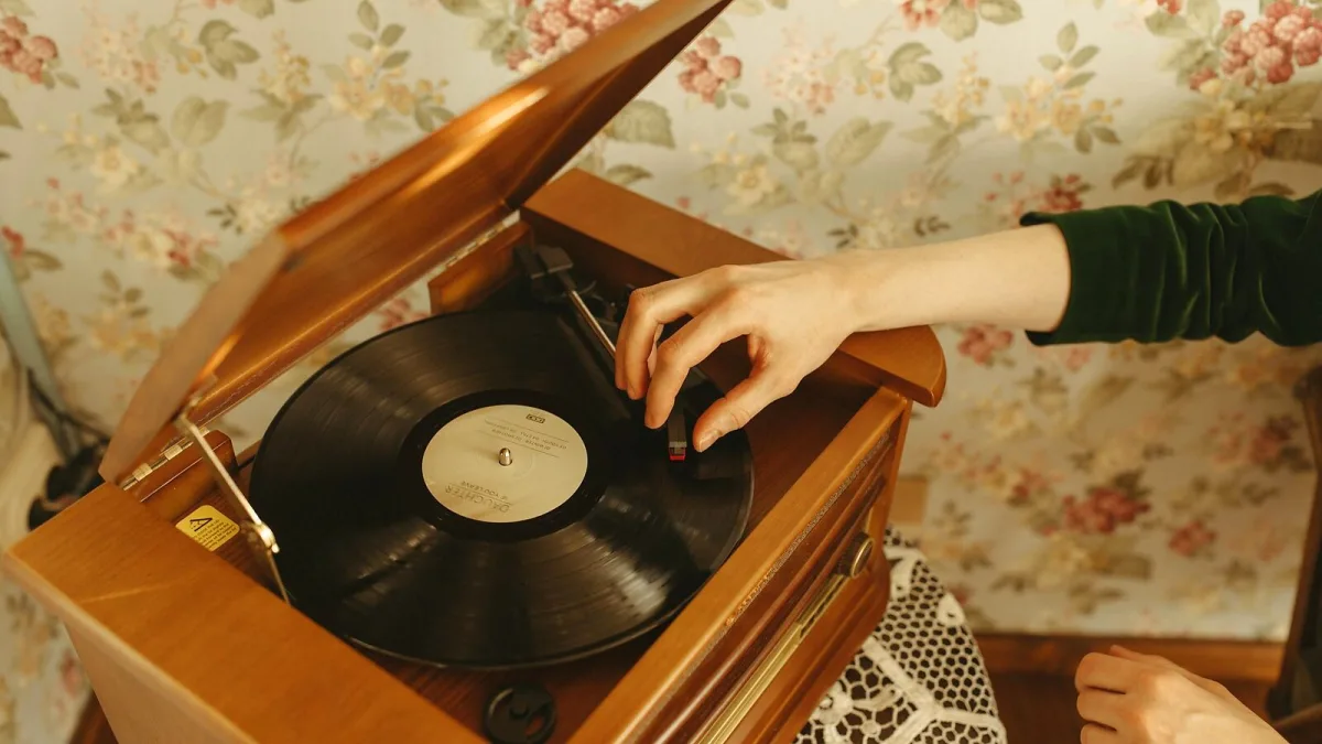 Chamber Pop for Newcomers: Where to Start