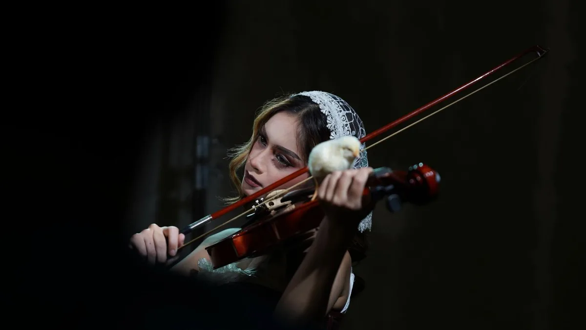 Chamber Pop Subgenres, Explained