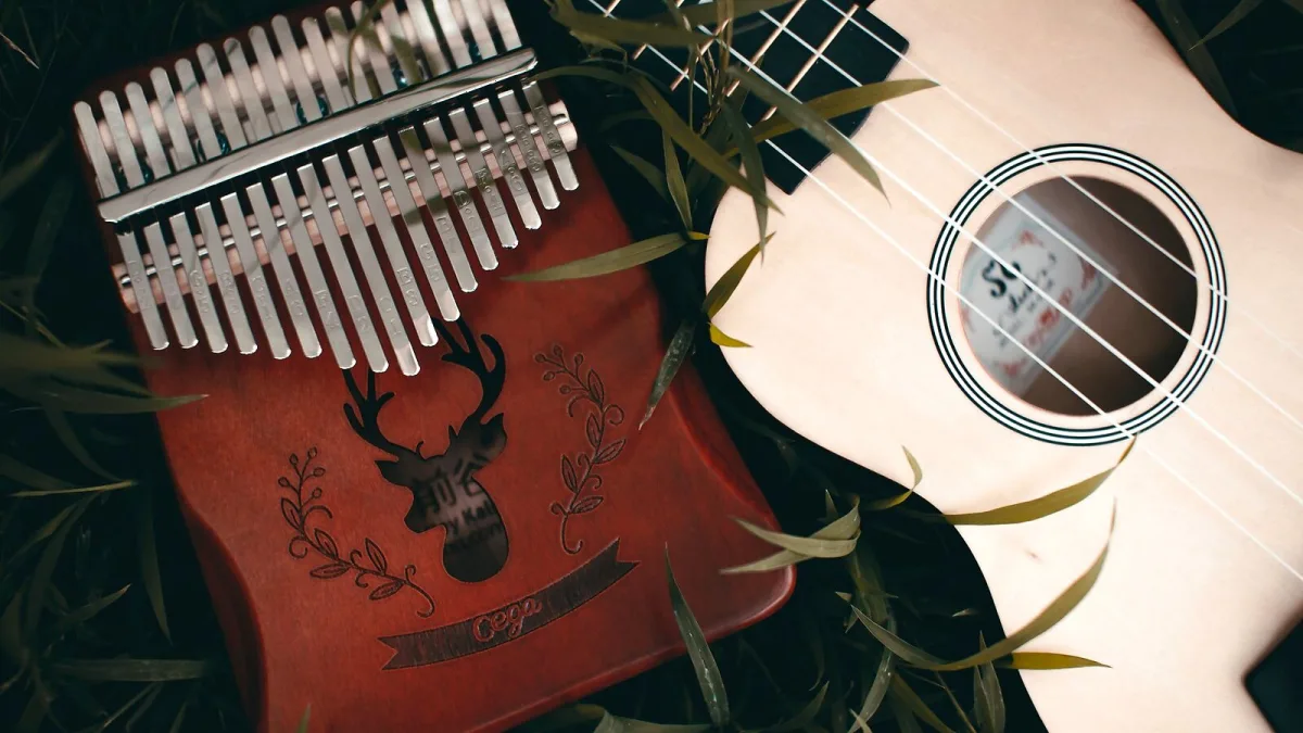 Concert Ukulele Explained: Features, Types and Tips