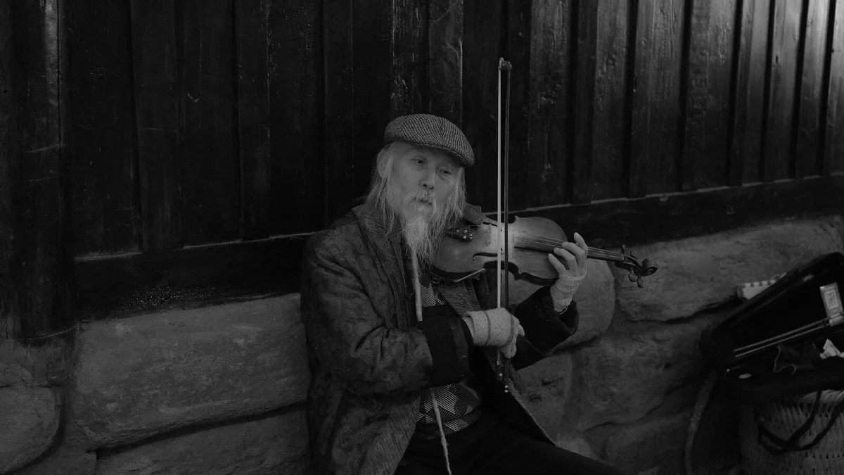 Fiddle Explained: Features, Types and Tips