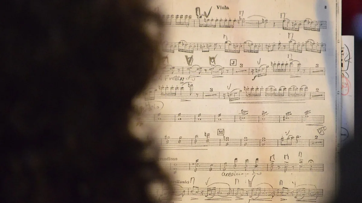 Fiddle for Beginners: A Complete Guide