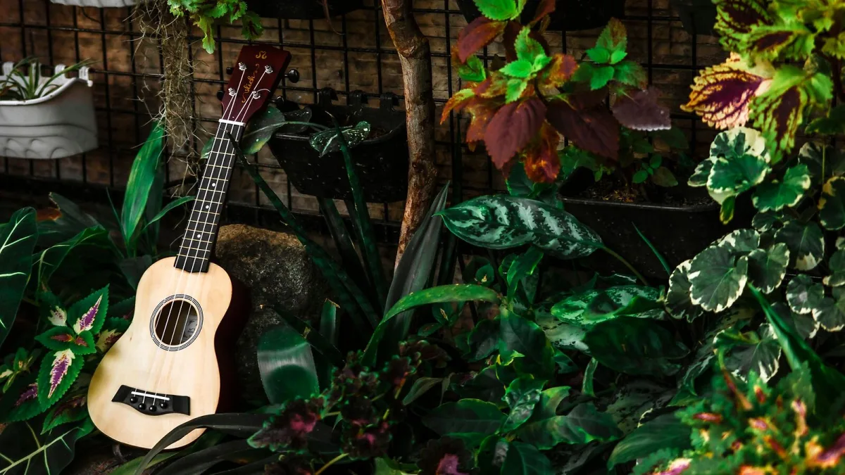 Mandolin: A Complete Buyer's Guide