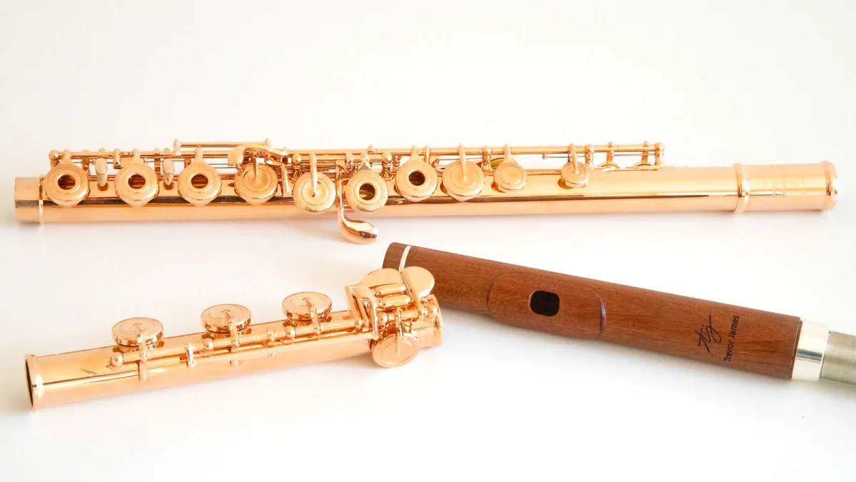 Piccolo Flute Explained: Features, Types and Tips