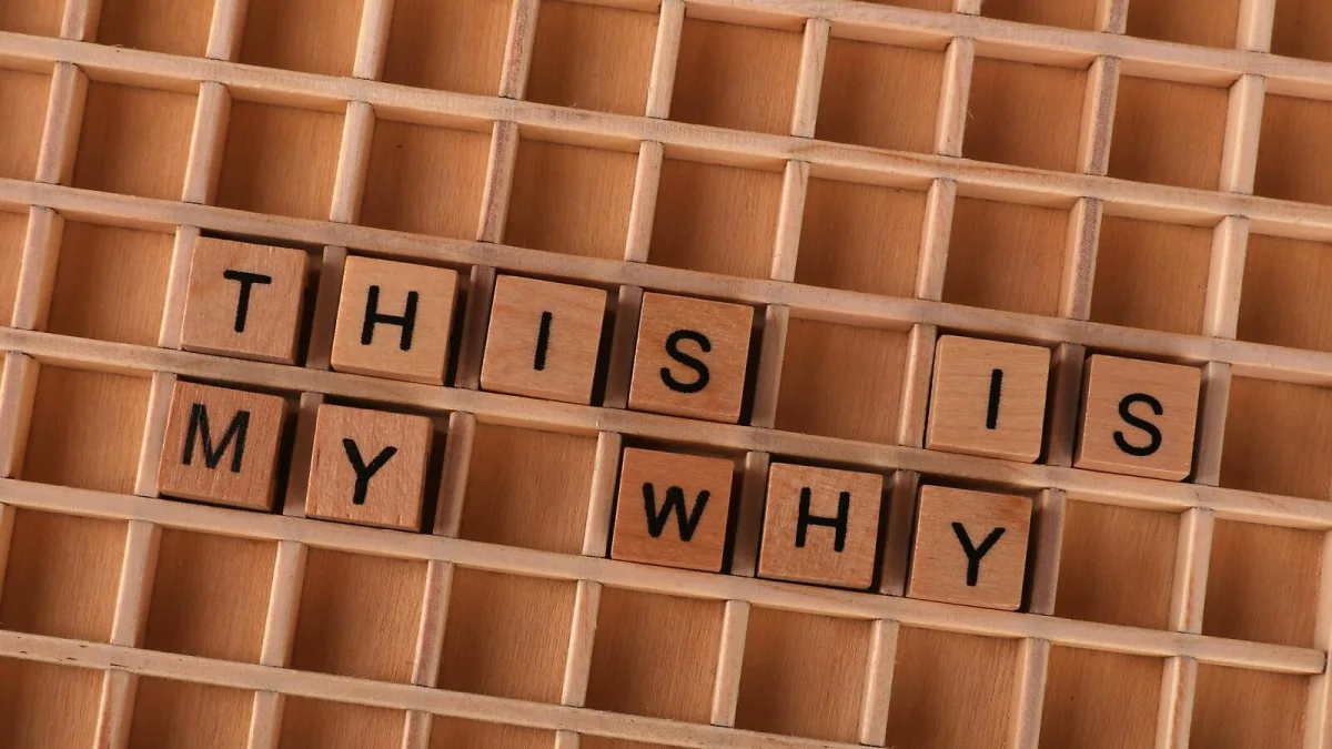 Reason Explained: Features, Types and Tips
