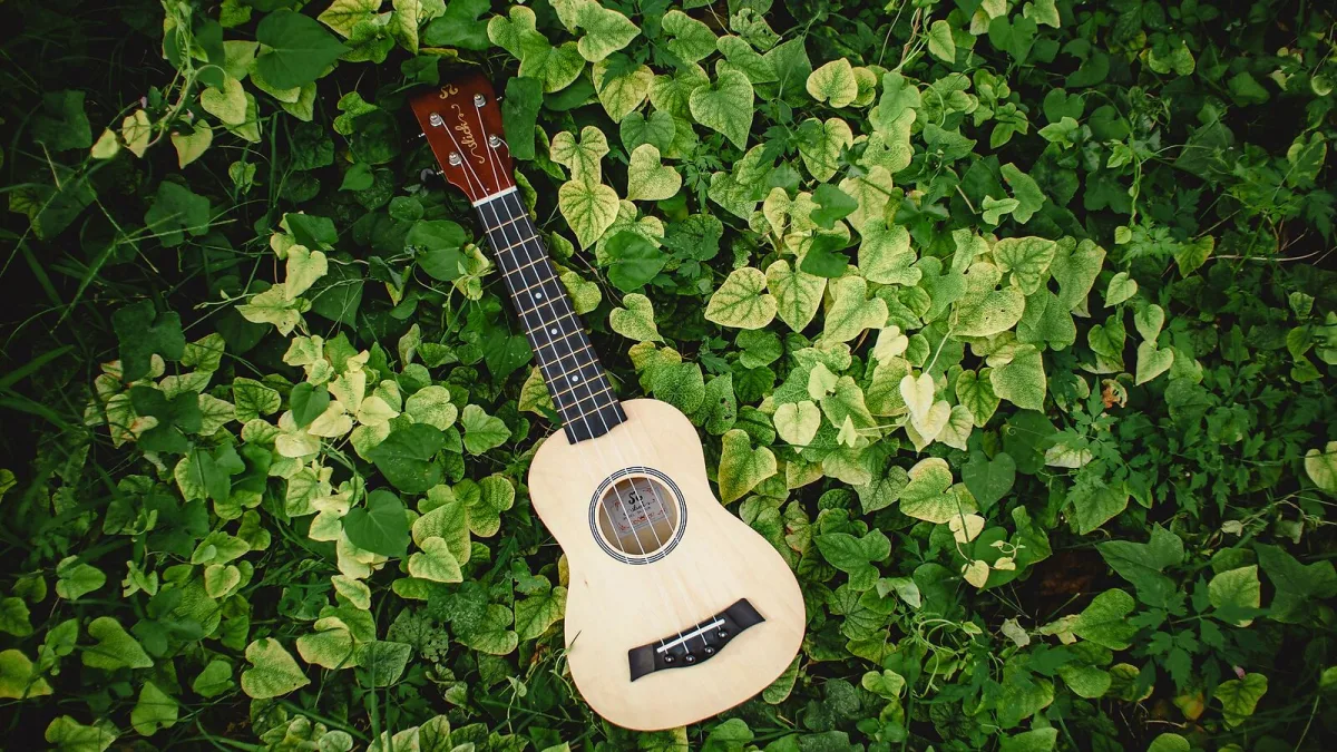 Soprano Ukulele: A Complete Guide