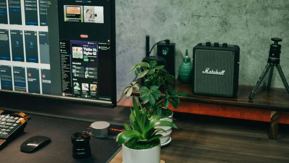 Streaming Amplifier for Beginners: A Complete Guide