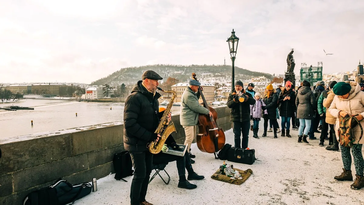 The Best Bassoons for the Money