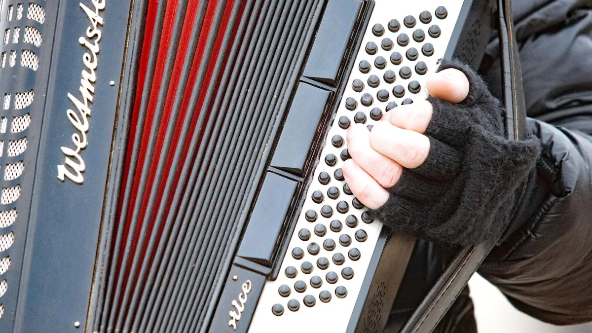 The Best Button Accordions for the Money