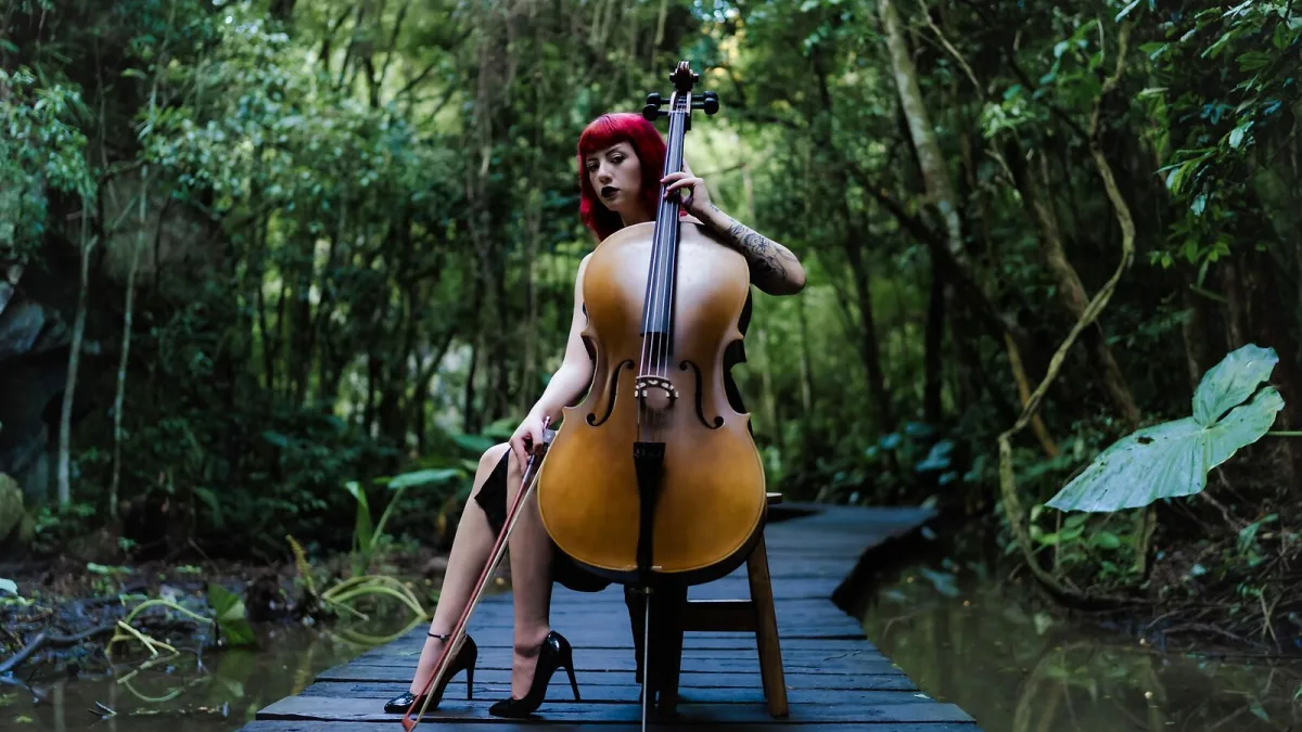 The Best Cellos for the Money