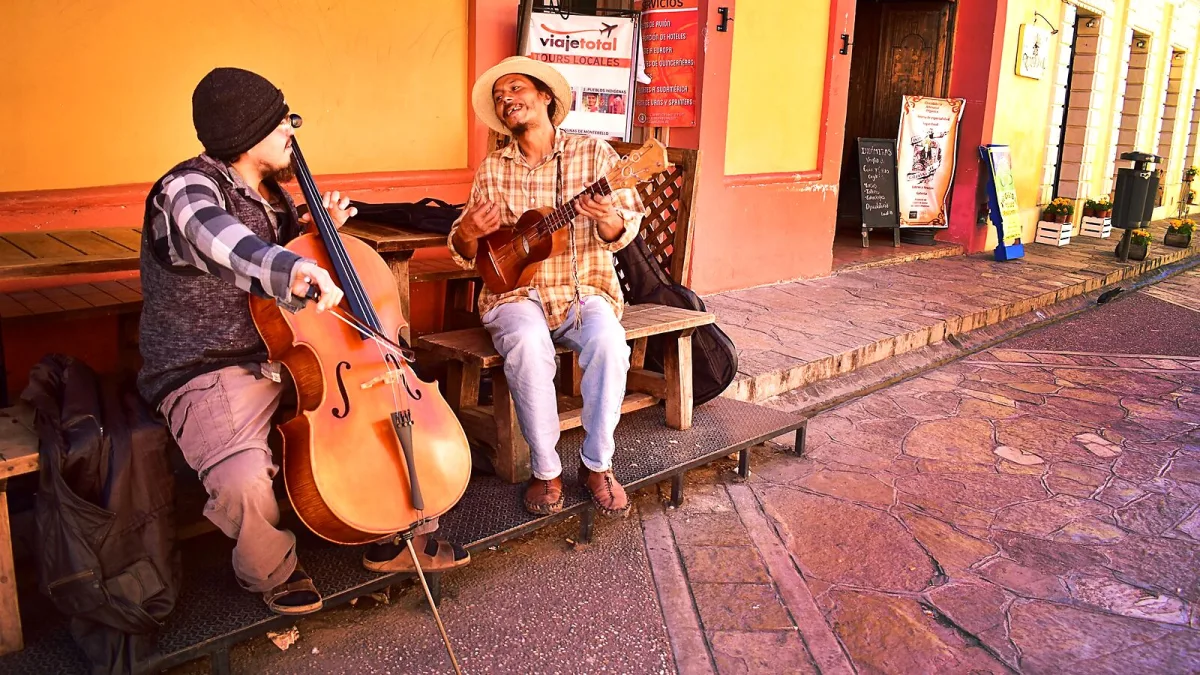 The Best Chamber Pop Songs Right Now