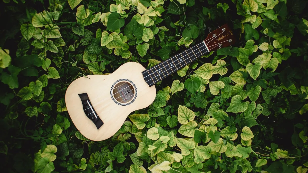 The Best Mandolin Strings for the Money