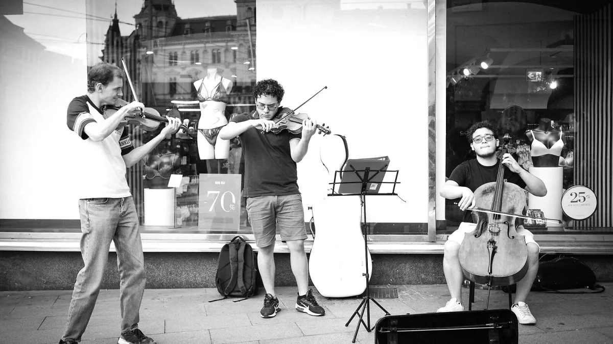 The Best Violins for the Money