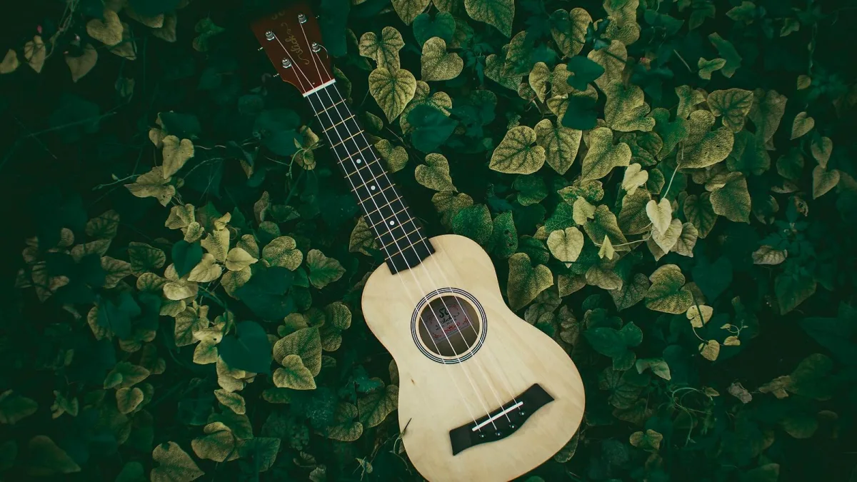 The Ultimate Guide to Fender Ukulele