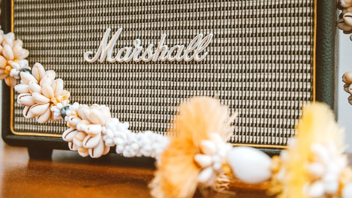 The Ultimate Guide to Marshall Studios